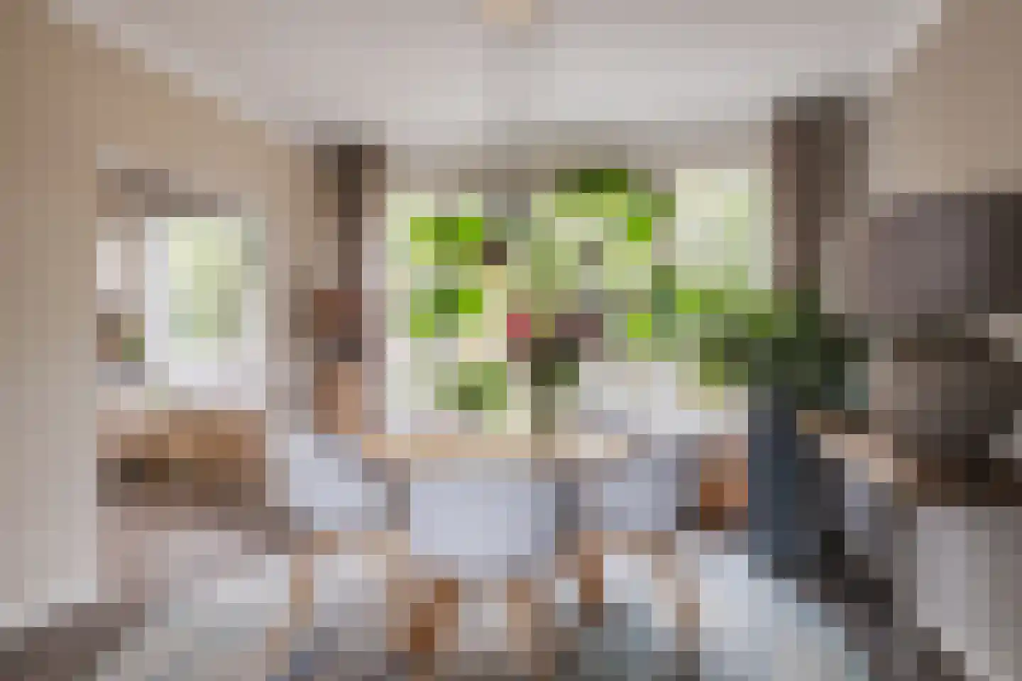 Virmundtstraat 109 Gemert thumbnail 12