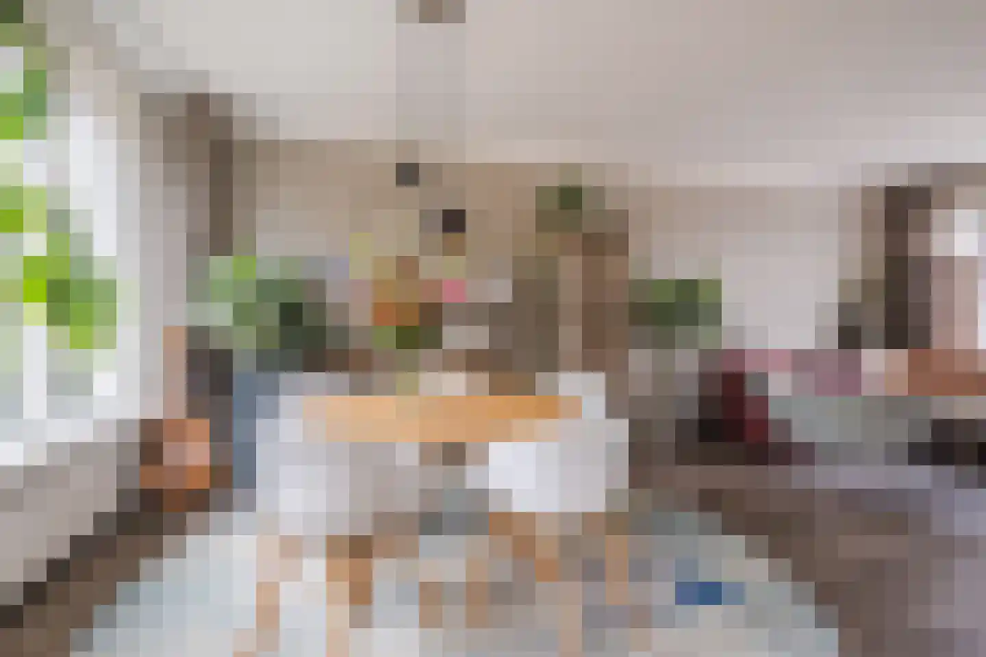 Virmundtstraat 109 Gemert thumbnail 13