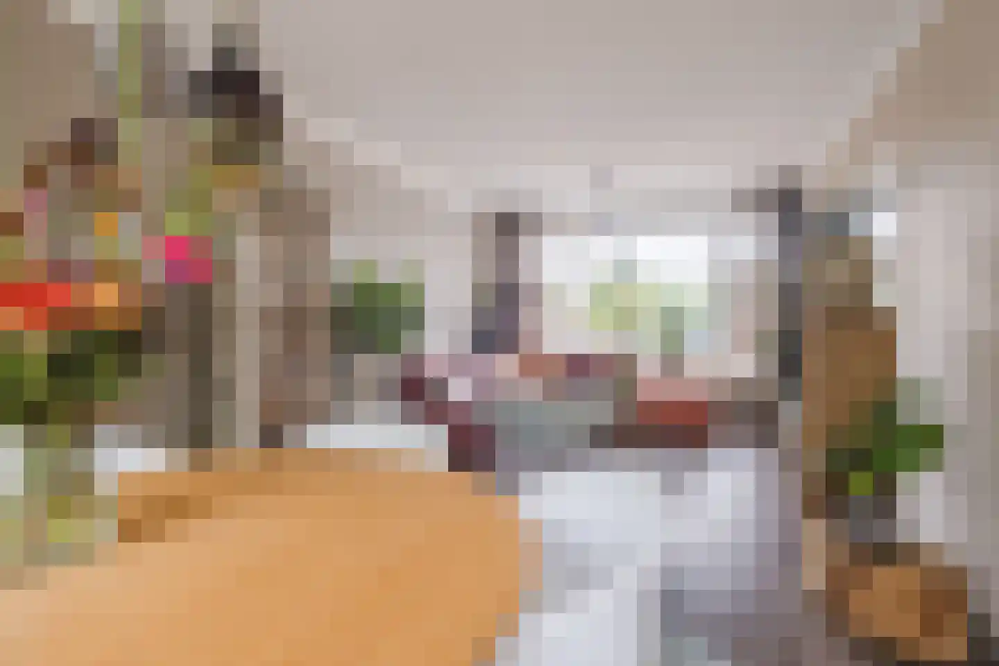 Virmundtstraat 109 Gemert thumbnail 14