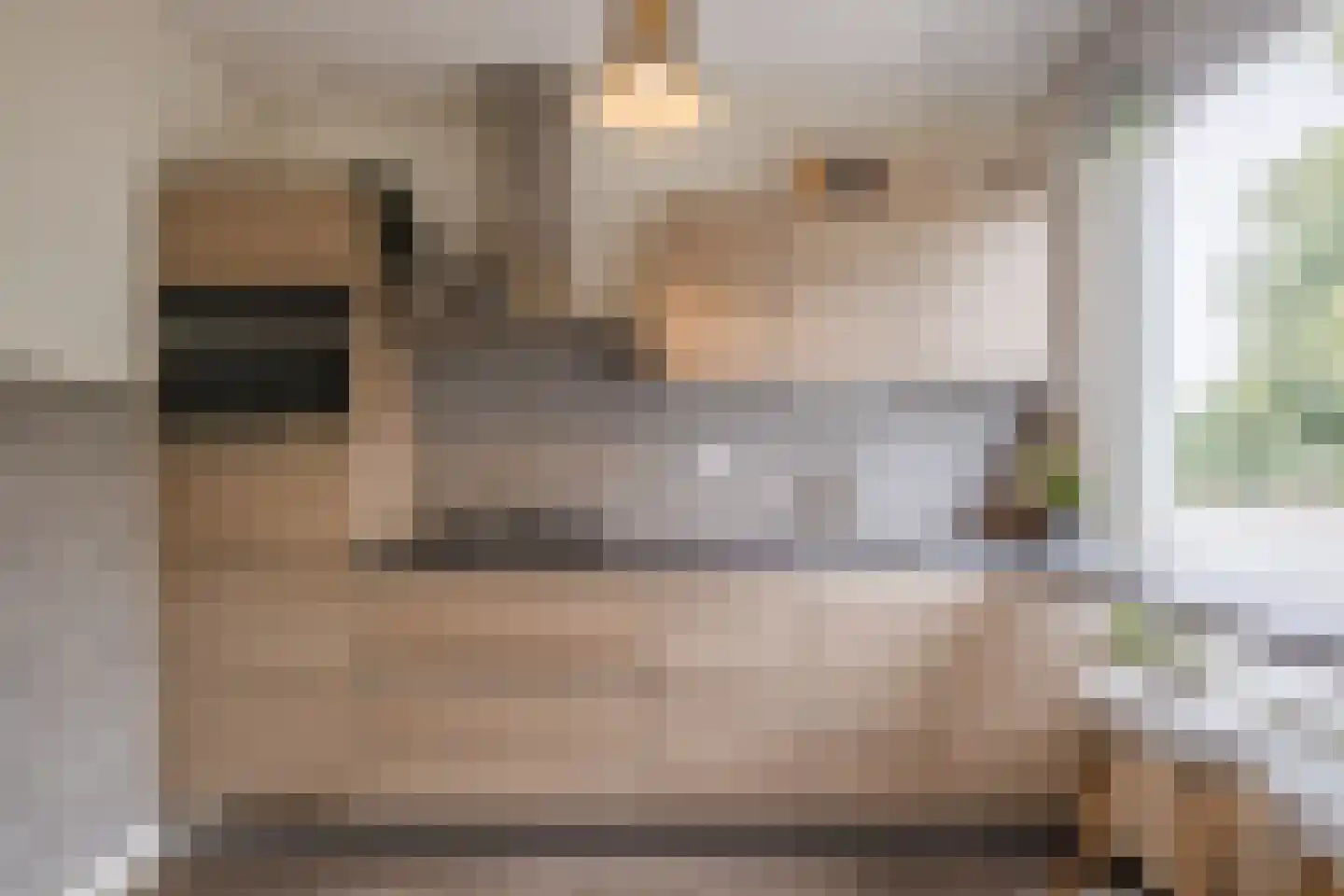 Virmundtstraat 109 Gemert thumbnail 15