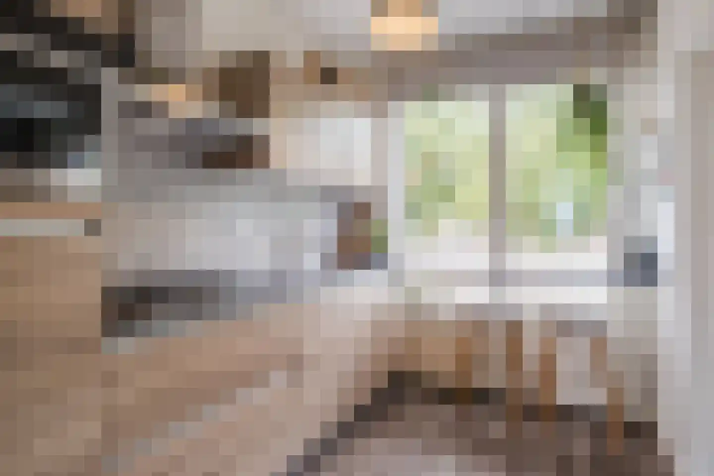 Virmundtstraat 109 Gemert thumbnail 16