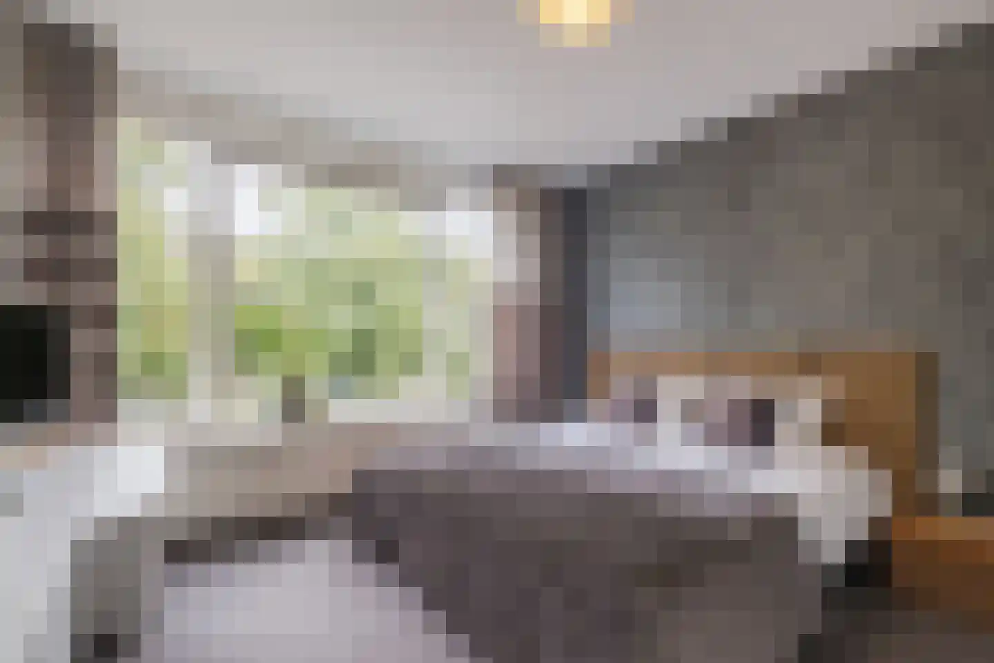 Virmundtstraat 109 Gemert thumbnail 21