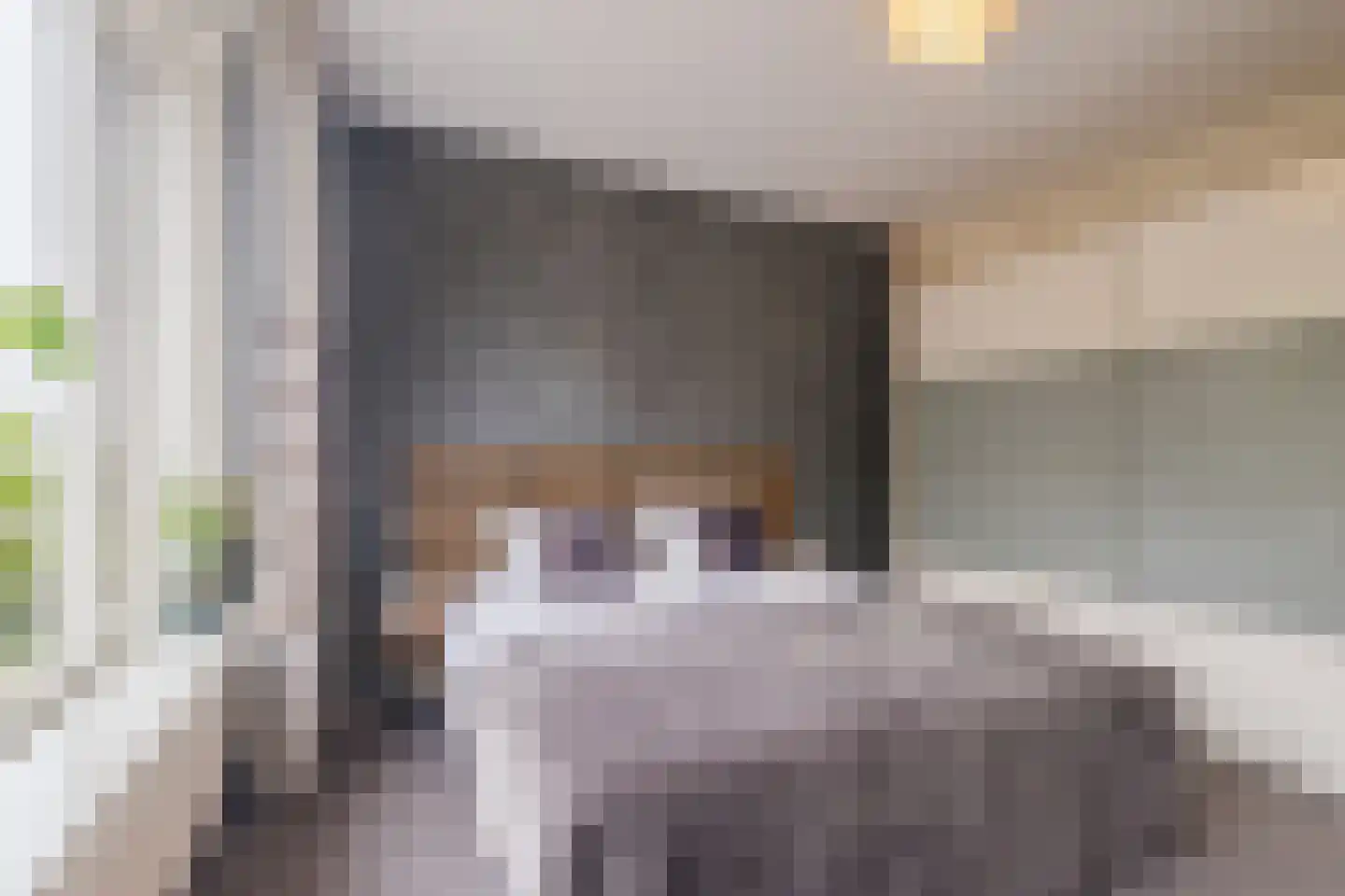 Virmundtstraat 109 Gemert thumbnail 22