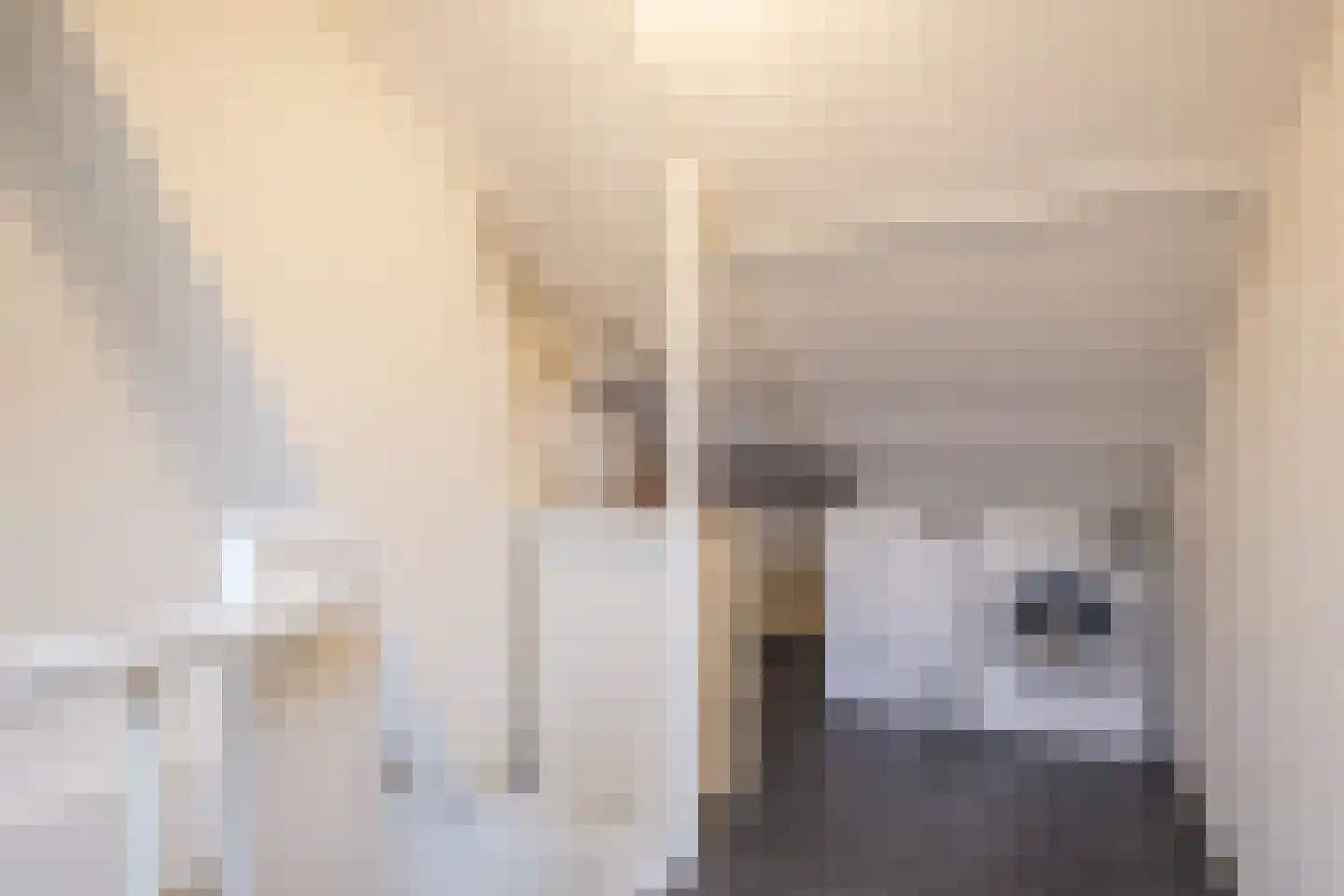 Virmundtstraat 109 Gemert thumbnail 29