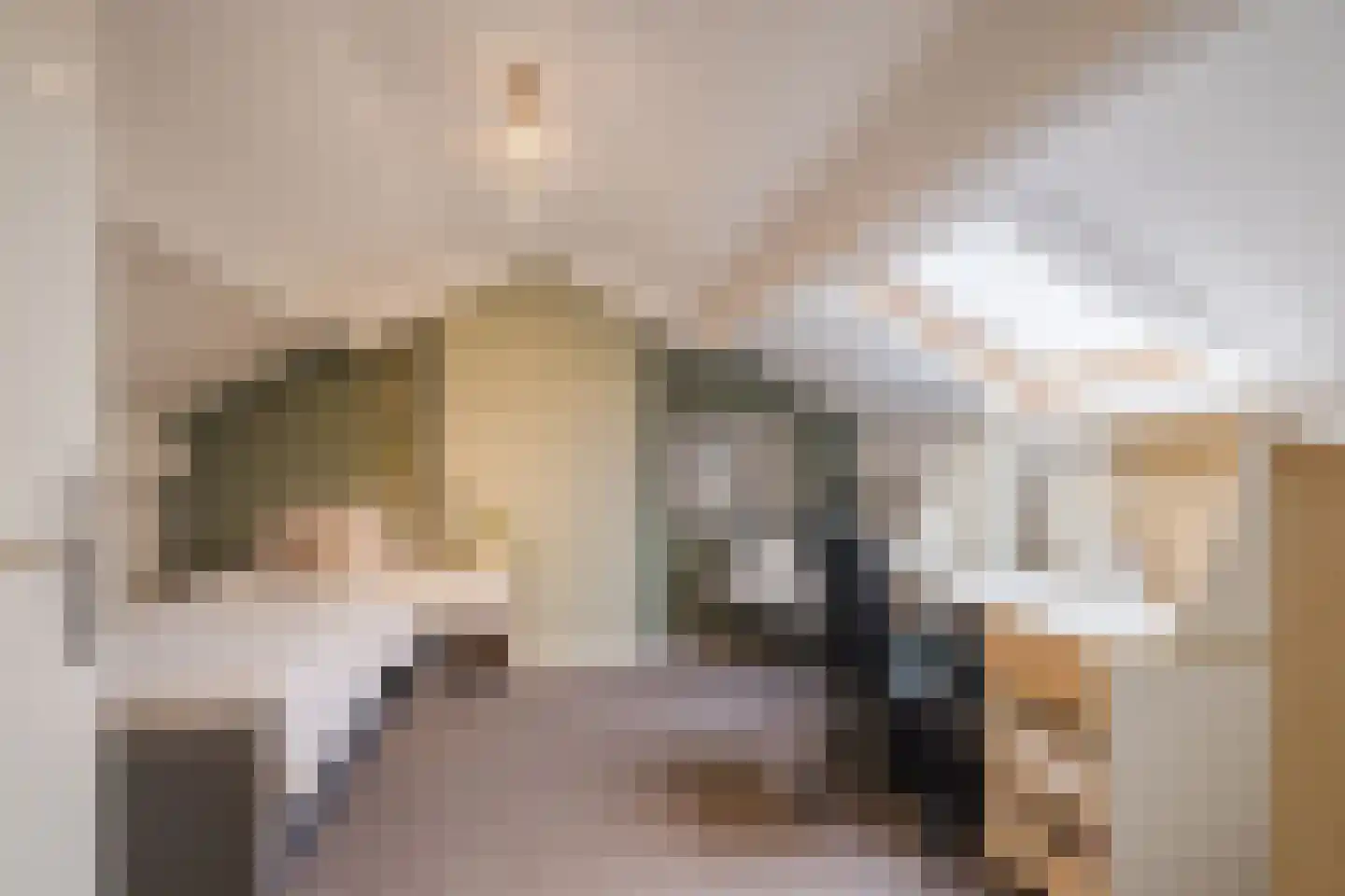 Virmundtstraat 109 Gemert thumbnail 30
