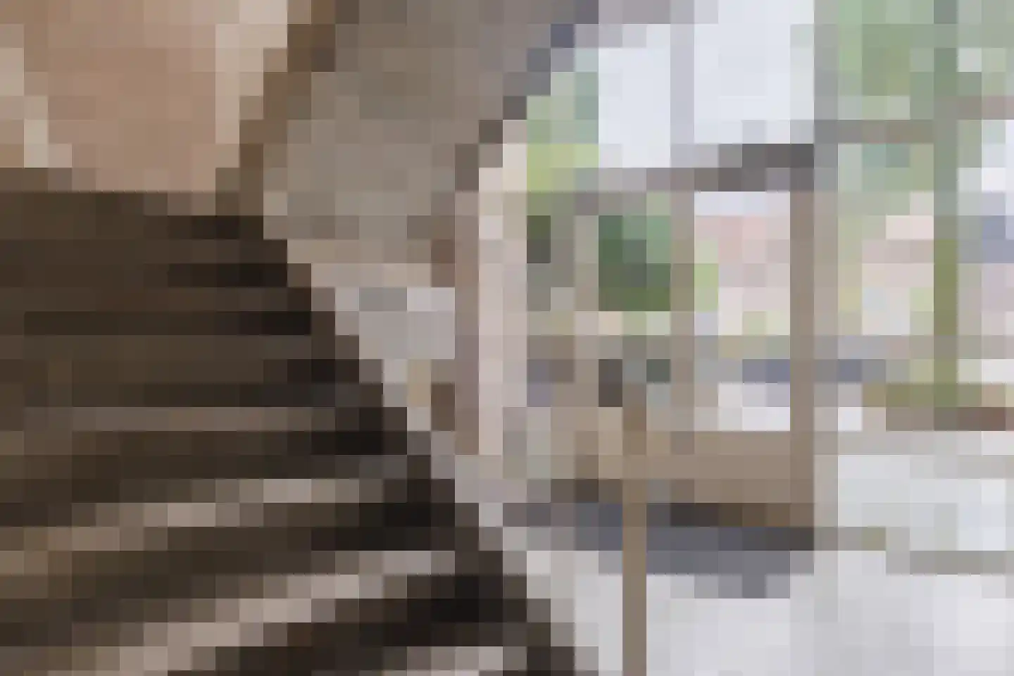 Virmundtstraat 109 Gemert thumbnail 34