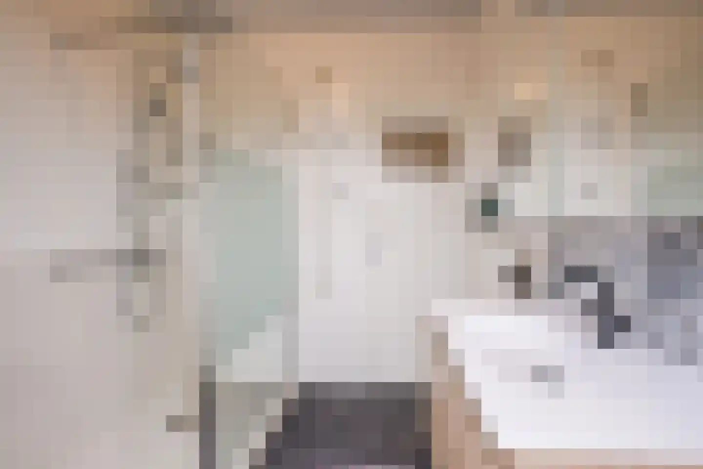 Virmundtstraat 109 Gemert thumbnail 5