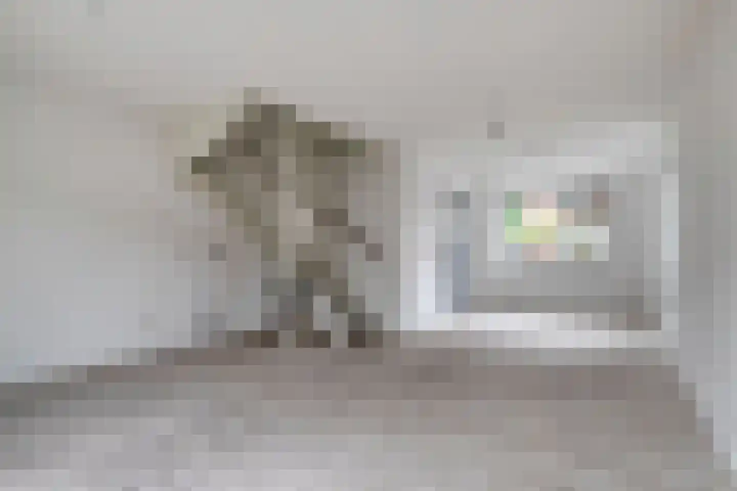 Virmundtstraat 13 d Gemert thumbnail 14