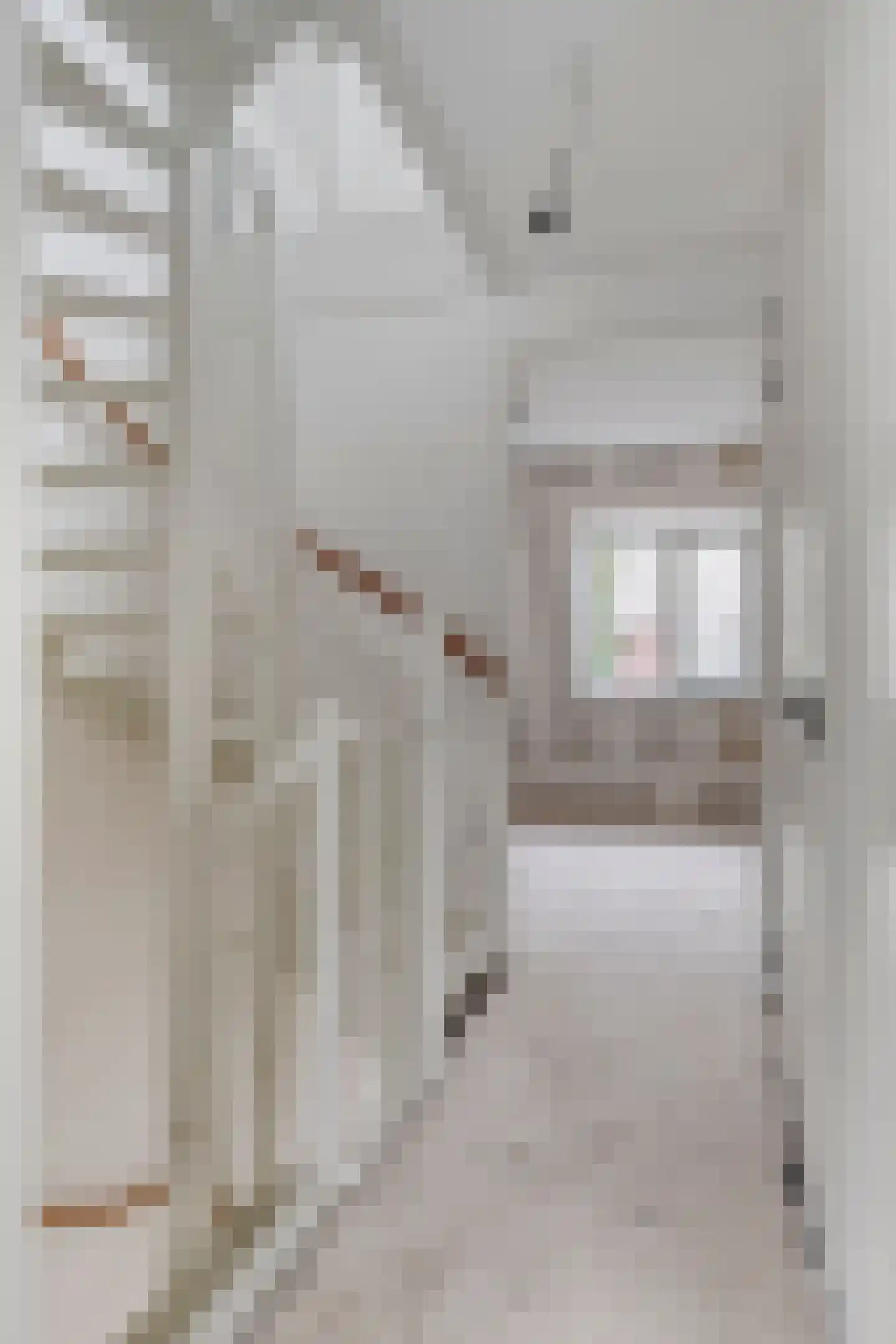 Virmundtstraat 13 d Gemert thumbnail 19
