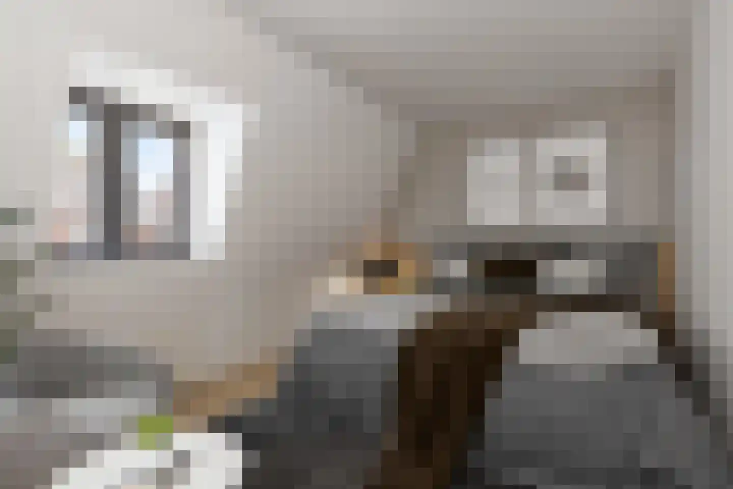 Virmundtstraat 13 d Gemert thumbnail 22