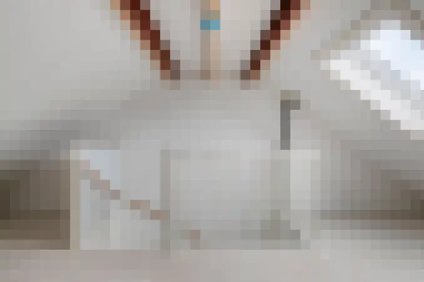 Virmundtstraat 13 d Gemert thumbnail 32