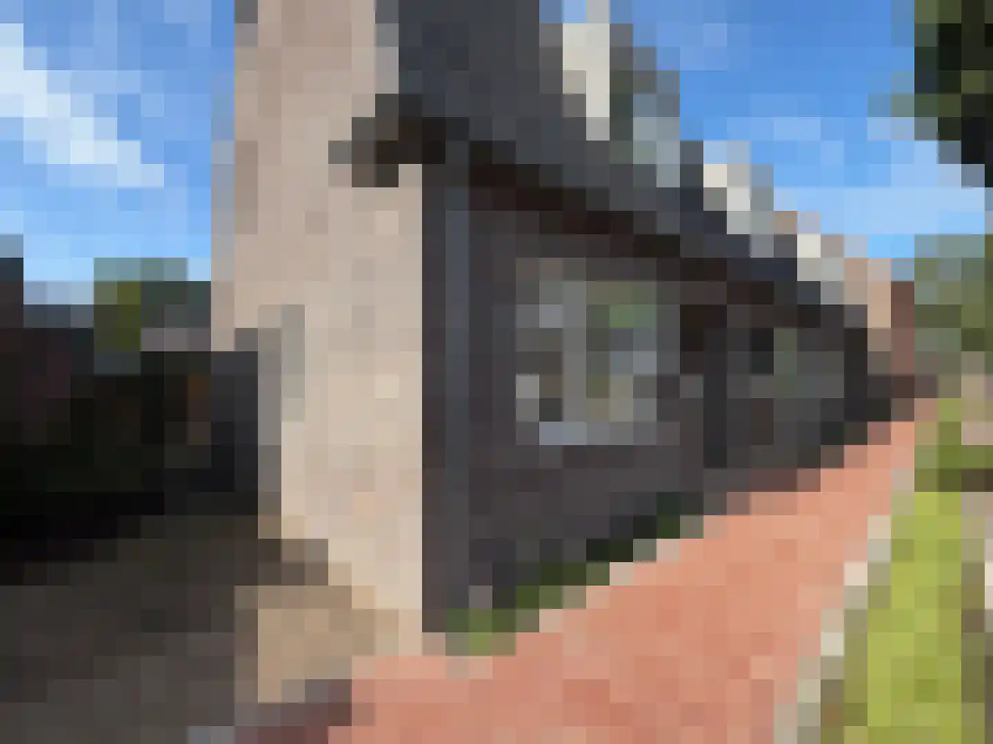 Virmundtstraat 13 d Gemert thumbnail 44
