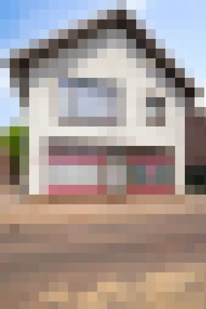 Virmundtstraat 20 Gemert thumbnail 10