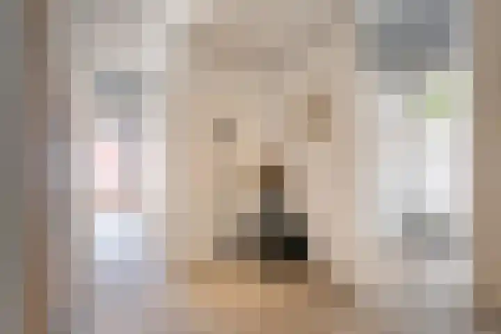 Virmundtstraat 20 Gemert thumbnail 11