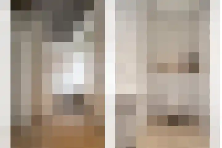 Virmundtstraat 20 Gemert thumbnail 12