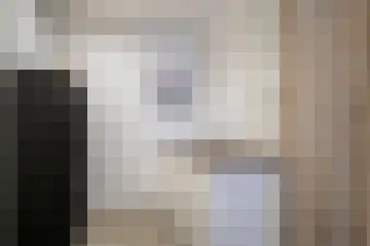 Virmundtstraat 20 Gemert thumbnail 15