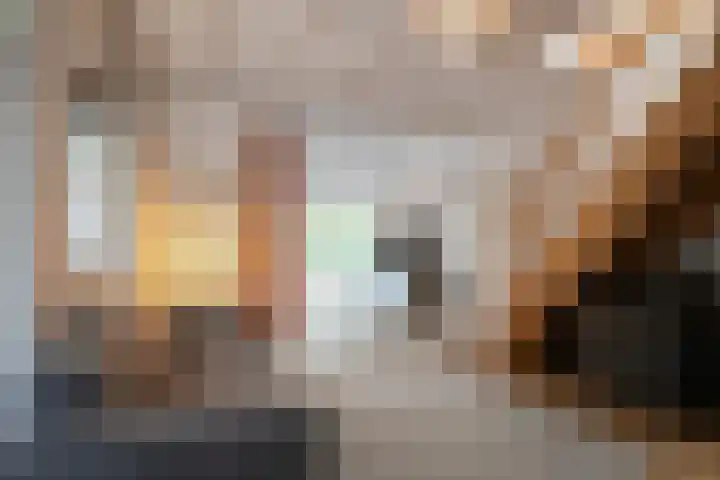 Virmundtstraat 20 Gemert thumbnail 18