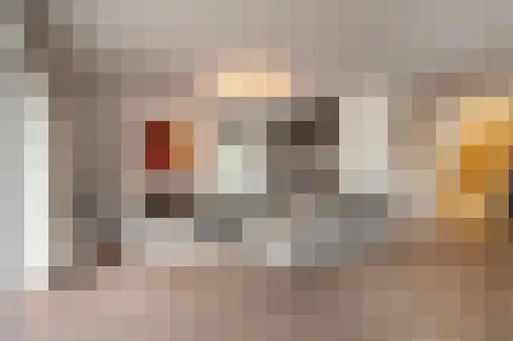 Virmundtstraat 20 Gemert thumbnail 20