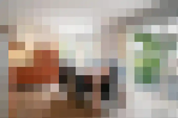 Virmundtstraat 20 Gemert thumbnail 23