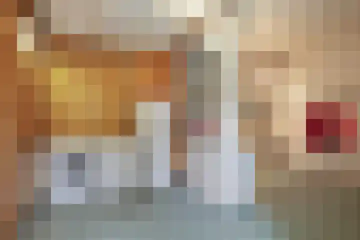 Virmundtstraat 20 Gemert thumbnail 27