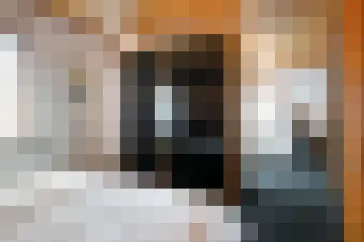 Virmundtstraat 20 Gemert thumbnail 30