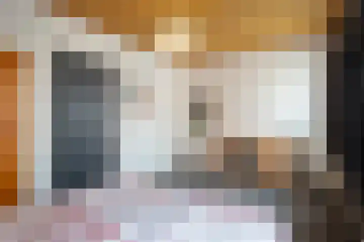 Virmundtstraat 20 Gemert thumbnail 34