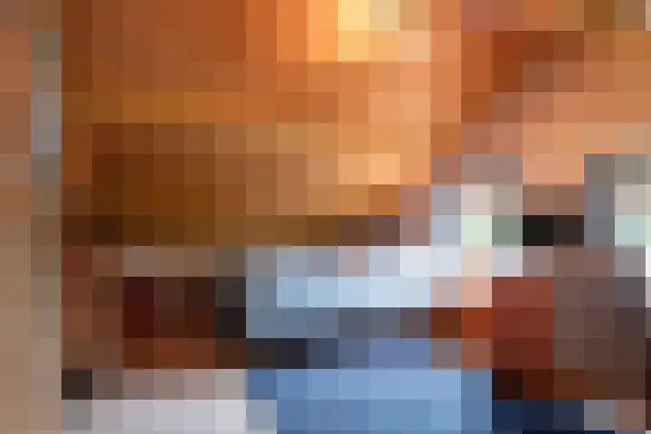 Virmundtstraat 20 Gemert thumbnail 39