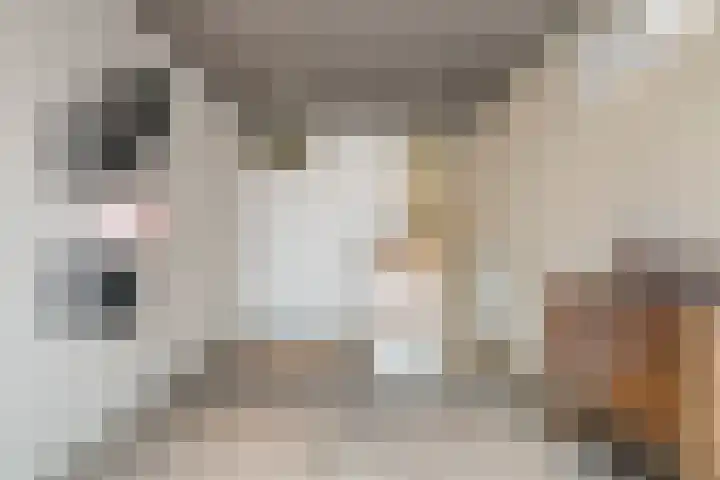 Virmundtstraat 20 Gemert thumbnail 4