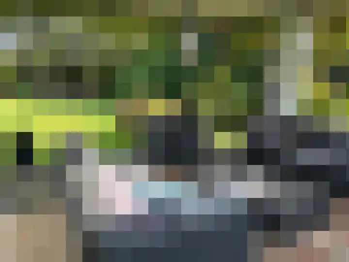 Virmundtstraat 20 Gemert thumbnail 41