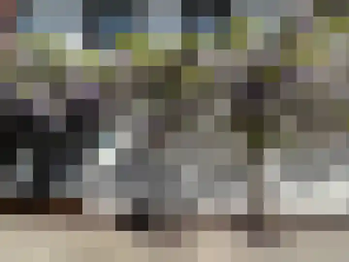 Virmundtstraat 20 Gemert thumbnail 42