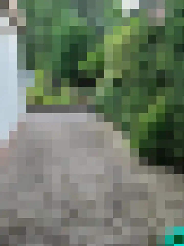 Virmundtstraat 20 Gemert thumbnail 45
