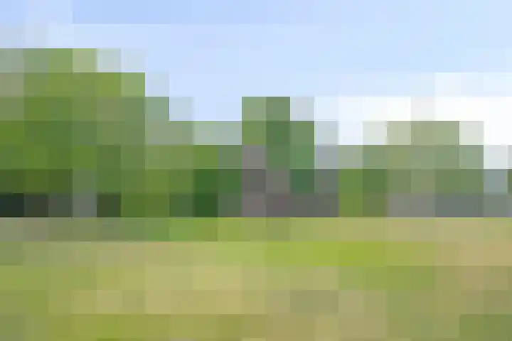 Virmundtstraat 20 Gemert thumbnail 48