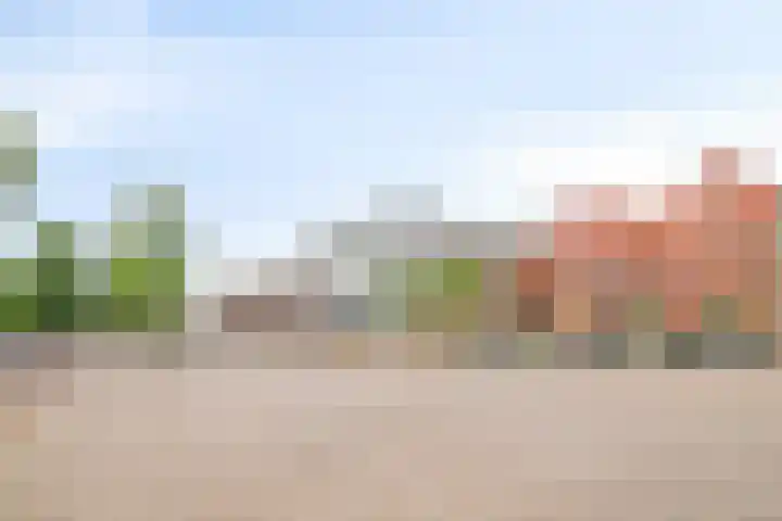 Virmundtstraat 20 Gemert thumbnail 49