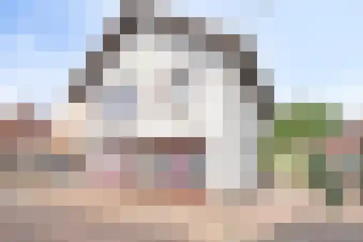 Virmundtstraat 20 Gemert thumbnail 57