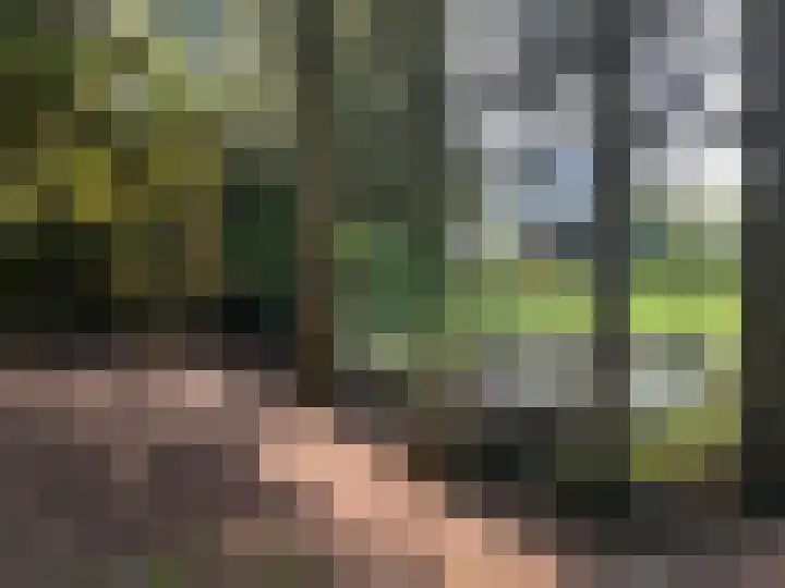 Virmundtstraat 20 Gemert thumbnail 6