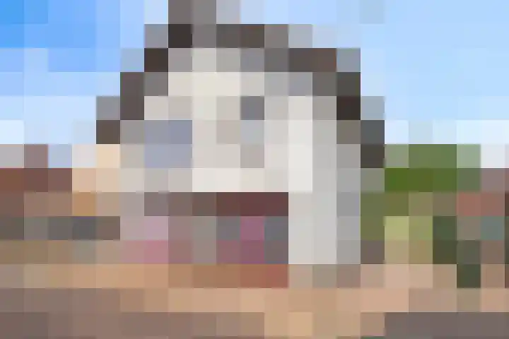 Virmundtstraat 20 Gemert thumbnail 7