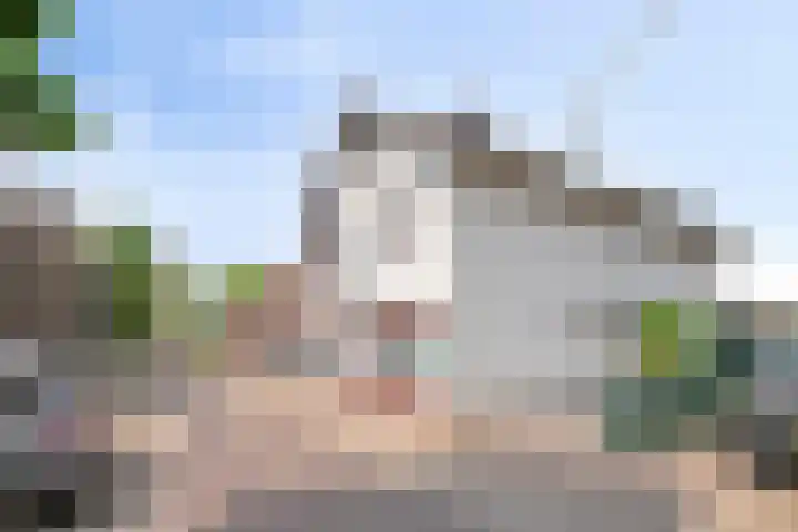 Virmundtstraat 20 Gemert thumbnail 8