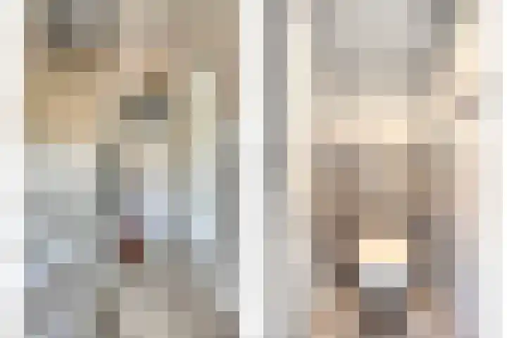Virmundtstraat 29 Gemert thumbnail 10