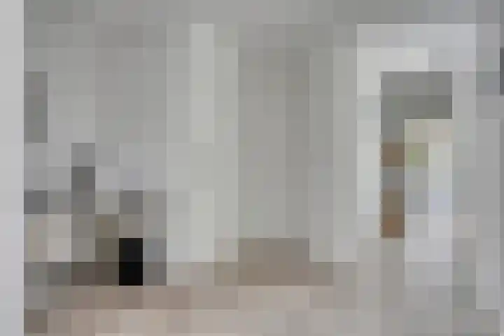 Virmundtstraat 29 Gemert thumbnail 12