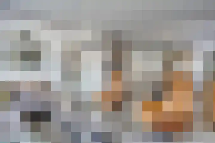 Virmundtstraat 29 Gemert thumbnail 15
