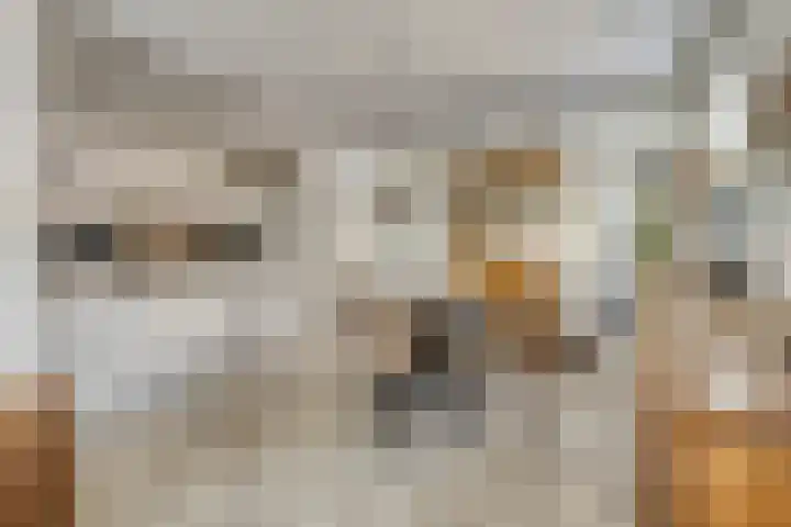 Virmundtstraat 29 Gemert thumbnail 16