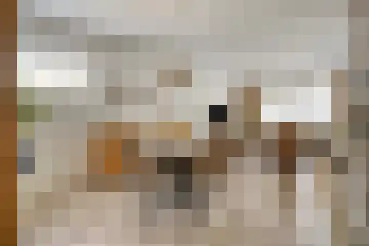 Virmundtstraat 29 Gemert thumbnail 18