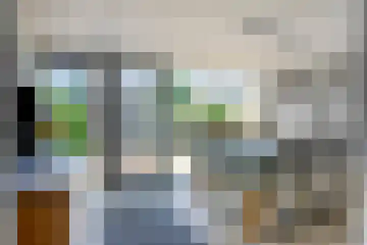 Virmundtstraat 29 Gemert thumbnail 23