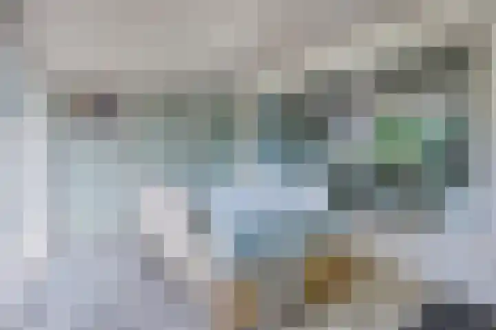 Virmundtstraat 29 Gemert thumbnail 24
