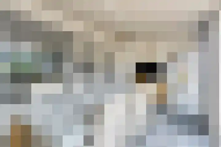 Virmundtstraat 29 Gemert thumbnail 25