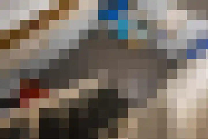 Virmundtstraat 29 Gemert thumbnail 28
