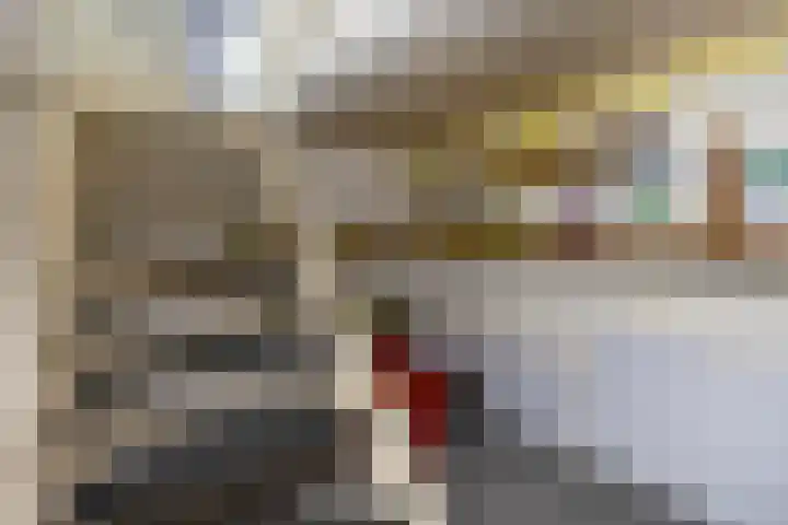 Virmundtstraat 29 Gemert thumbnail 29