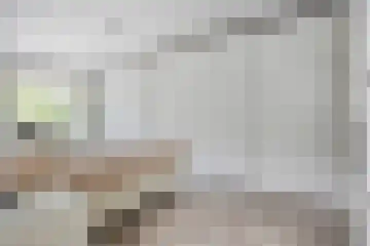Virmundtstraat 29 Gemert thumbnail 30