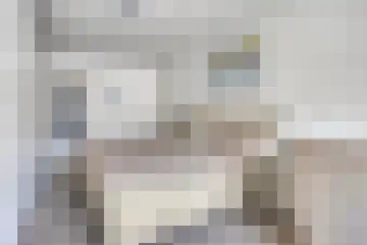 Virmundtstraat 29 Gemert thumbnail 32