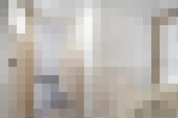 Virmundtstraat 29 Gemert thumbnail 39